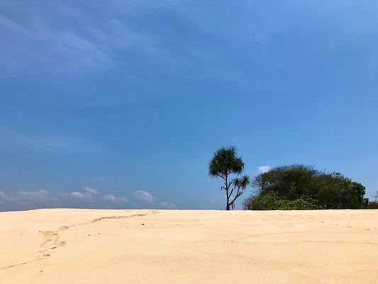 Somewhere in Indonesia | A Sumba Special